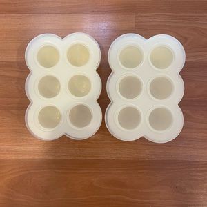 Baby Bullet Freezer Trays
